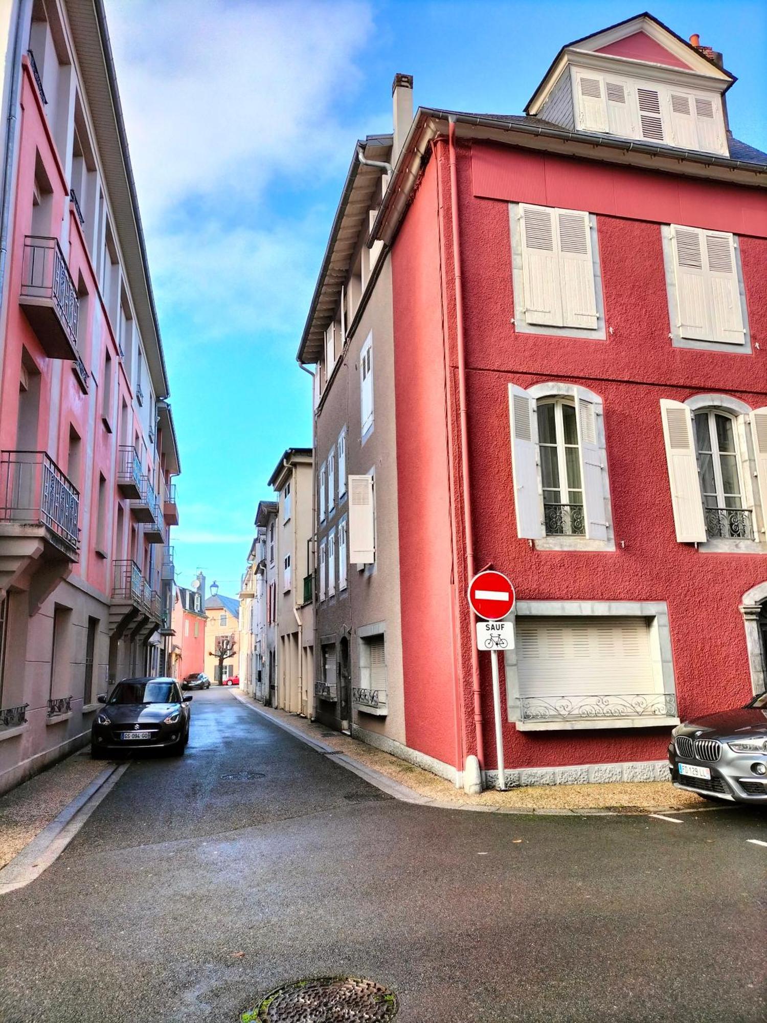 La Roseraie, Loft 3 Etoiles, Calme Et Ensoleille Au Pied Des Pyrenees Bagnères-de-Bigorre Dış mekan fotoğraf